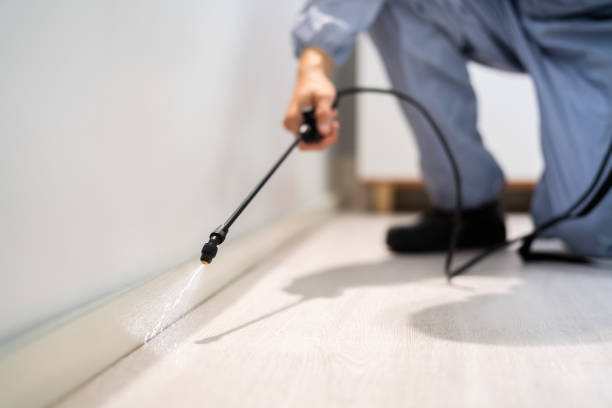 Rodent Entry Point Assessment in Elk Grove