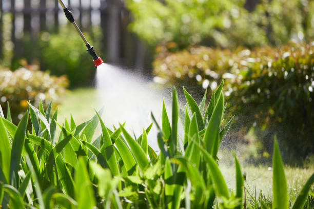 Tamper-Resistant Bait Stations for Rodents in Elk Grove