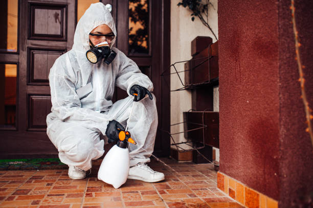 Attic and Crawl Space Rodent Treatment in Elk Grove